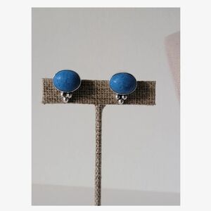 Blue Sterling Earrings